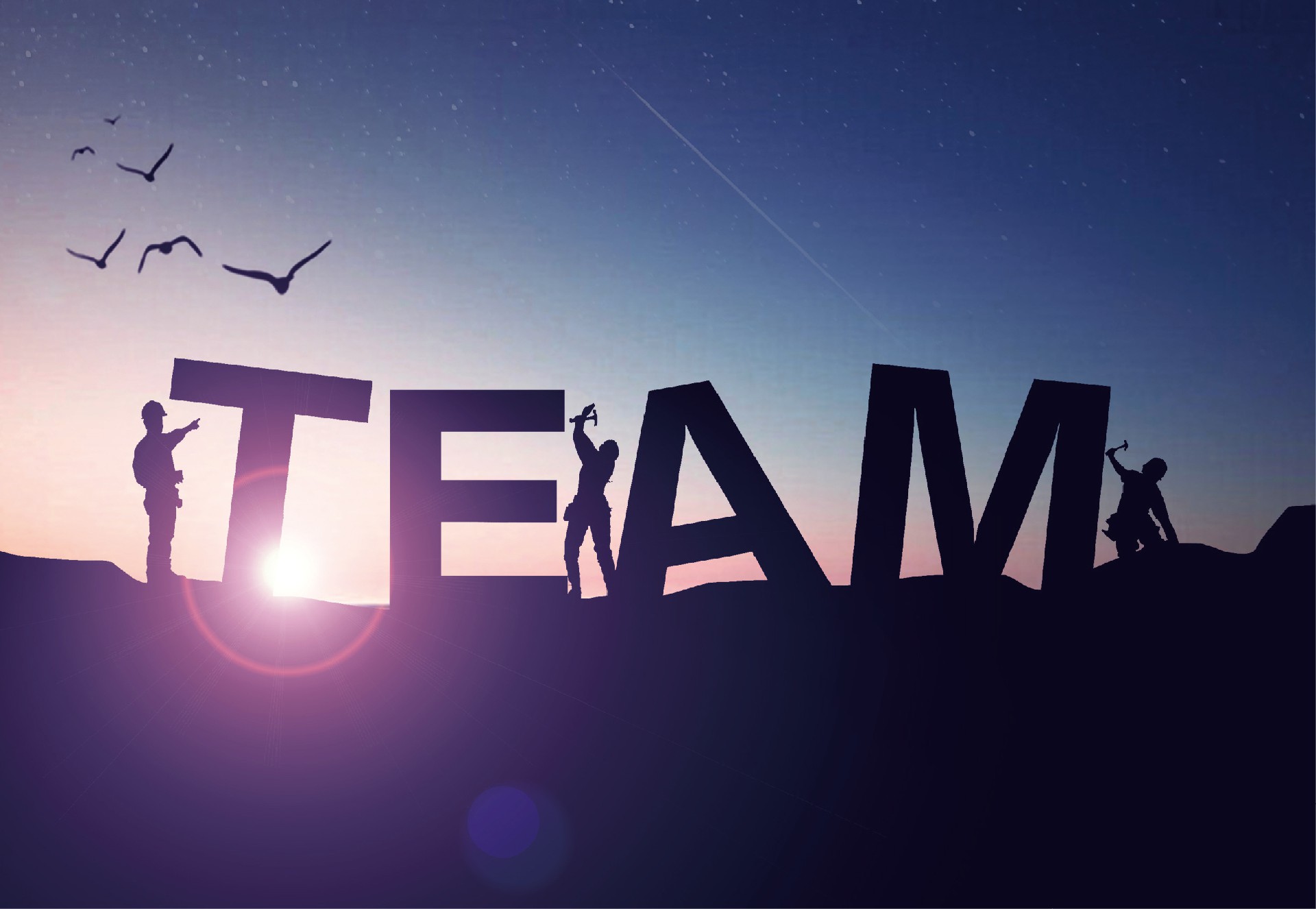 TEAM.jpg