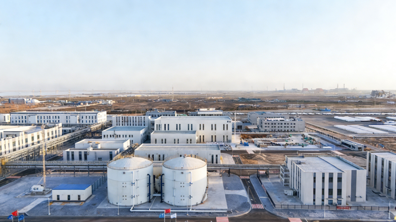 青海盐湖工业股份有限公司4万吨/年基 础锂盐一体化项目